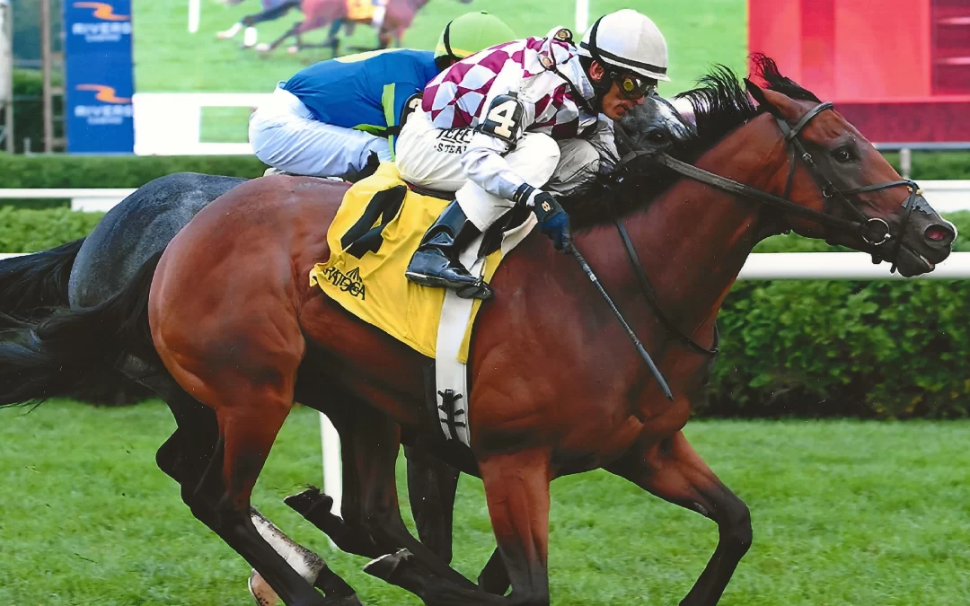 Courtly Banker Breaks Maiden, Wins Stakes Race at Saratoga