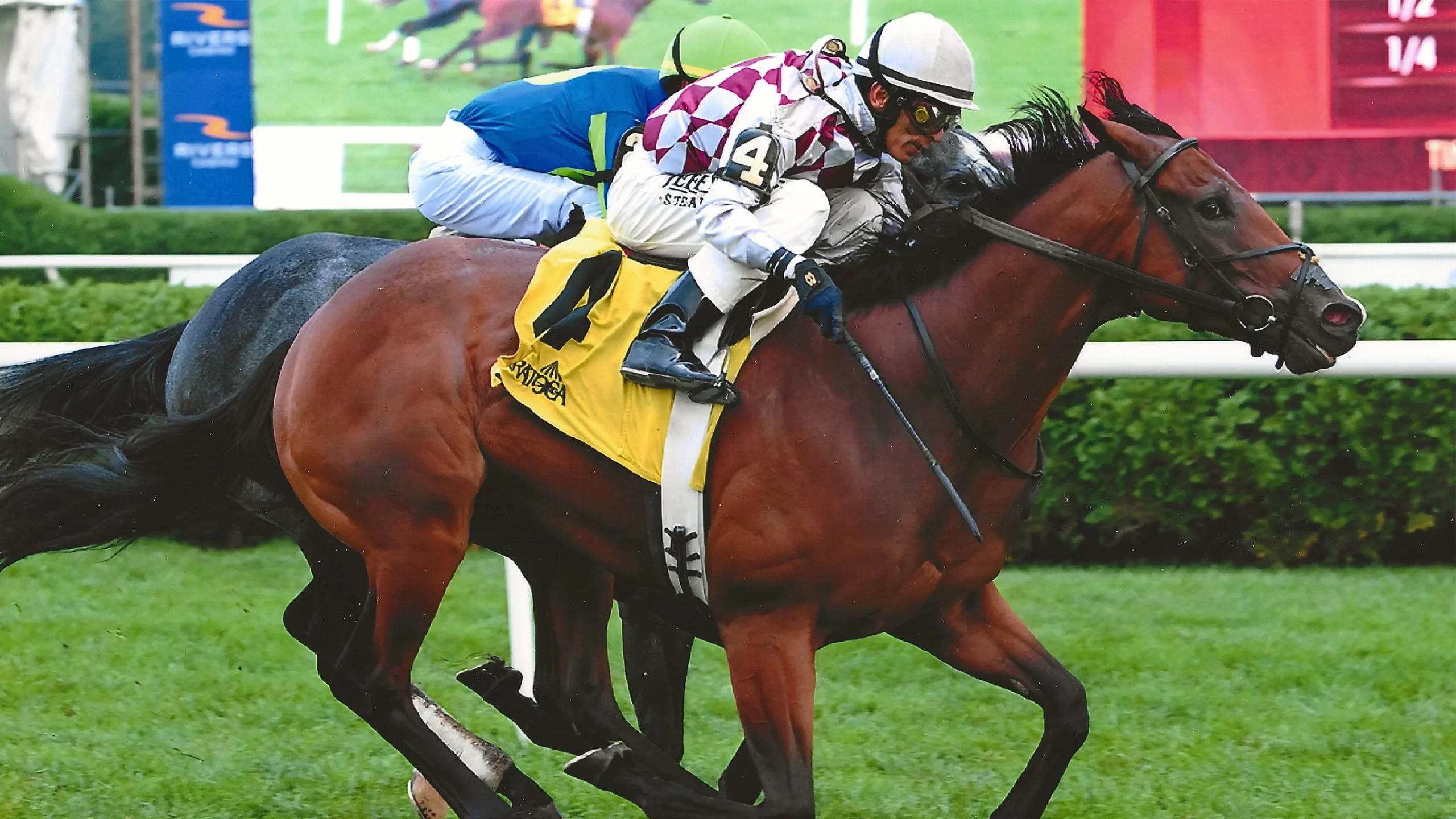 Courtly Banker Breaks Maiden, Wins Stakes Race at Saratoga