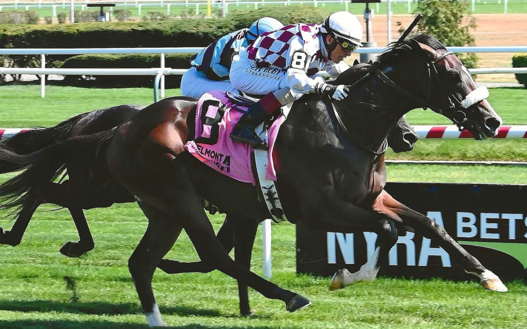 Tiz Dashing Breaks His Maiden In Debut