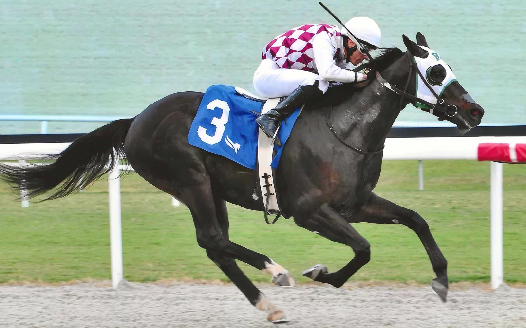 Union Trail Wins Third Race Going Gate-to-Wire