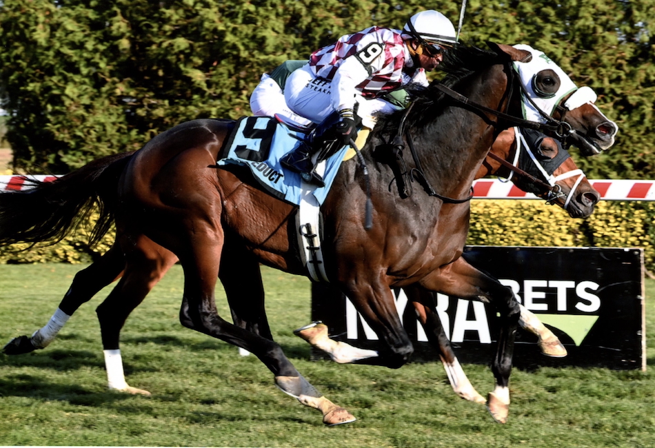 Tiz Dashing